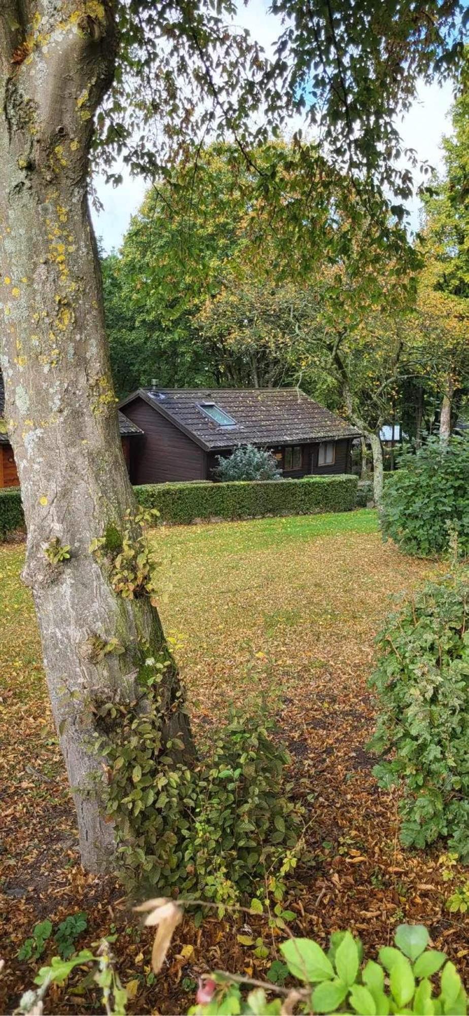 Chalet 9 La Boverie Rendeux Exterior photo